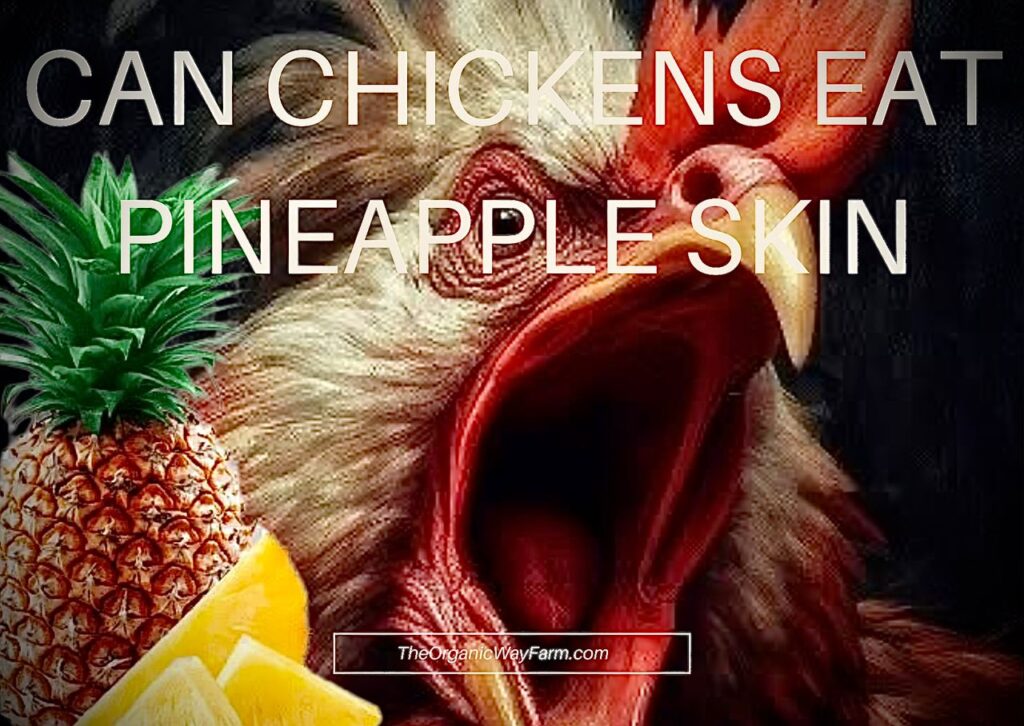 Can Chickens Eat Pineapple Skin? (Everything To Know)